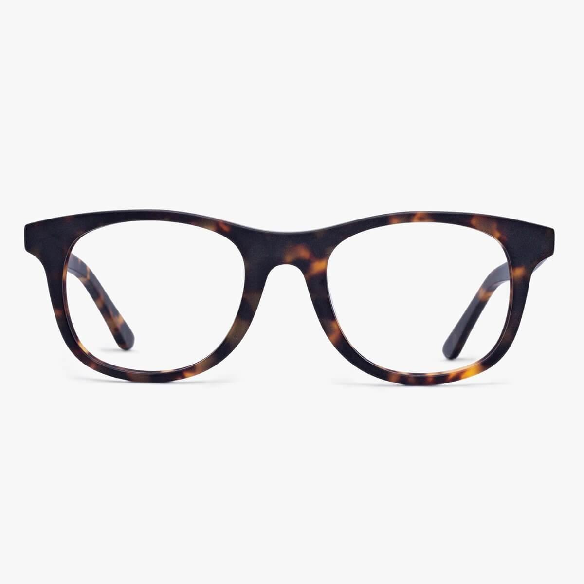 Malmö Dark Turtle glasses with tortoiseshell frame