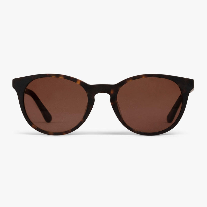 Örebro Dark Turtle sunglasses with brown lenses and tortoiseshell frame