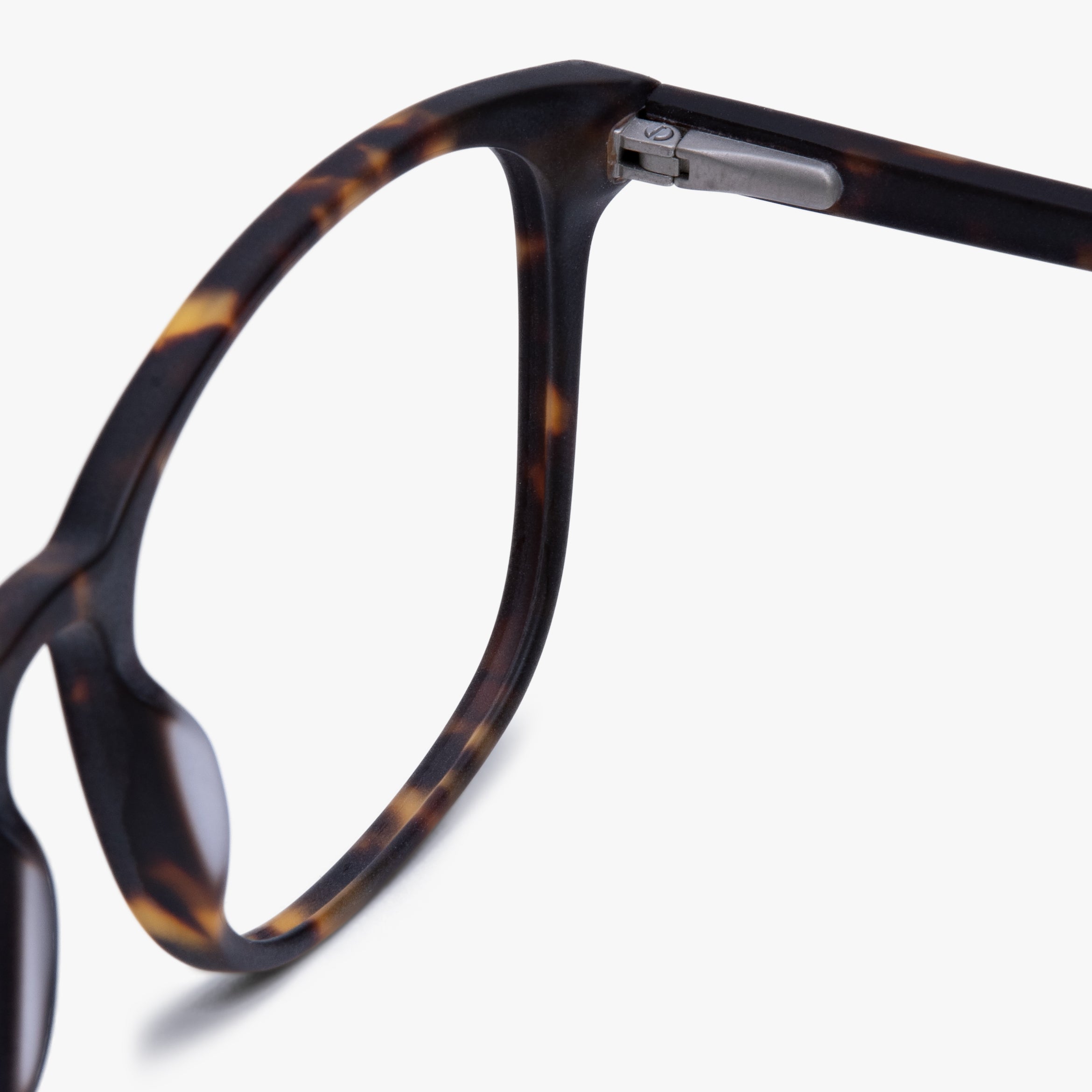 Women's Ebeltoft Dark Turtle eyewear frame detail