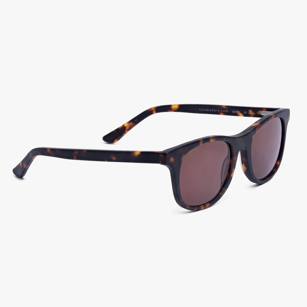 Tortoise shell sunglasses with dark lenses from Luxreaders